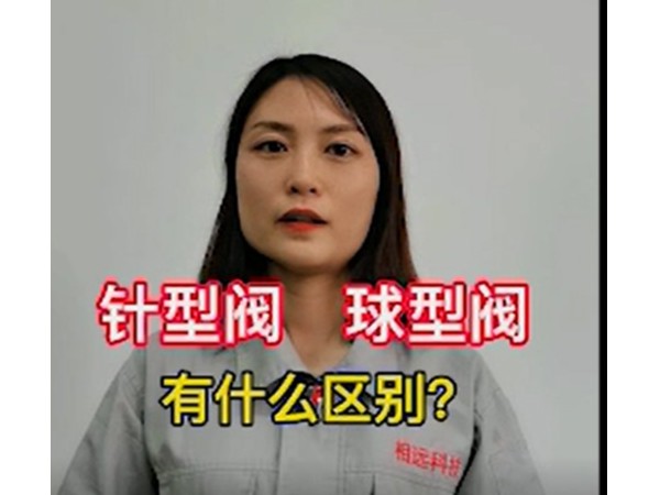 磁翻板液位計針型閥和球型閥的區(qū)別